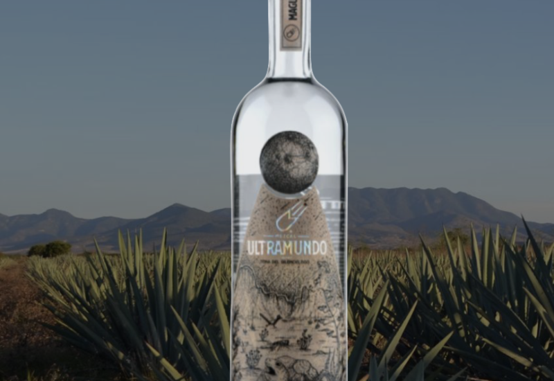 Mezcales de mex 2